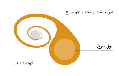 انتقال ماده بین ستارگان در حال گردش