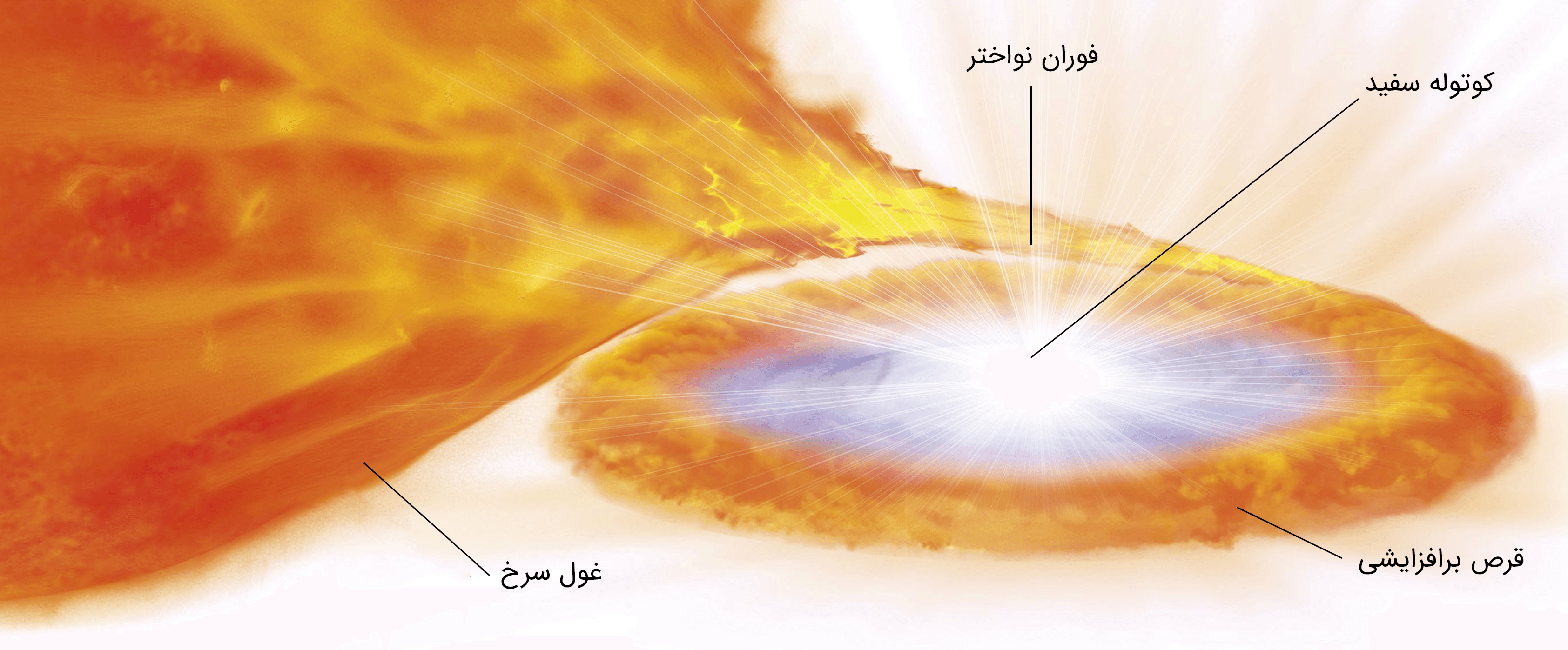 دوتایی تعاملی